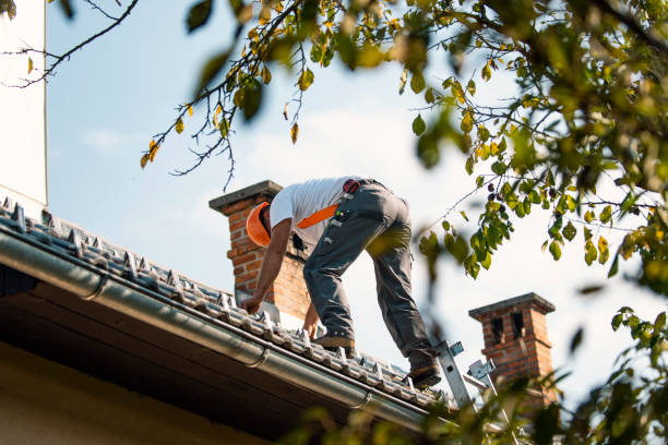 Best Slate Roofing Contractor  in East St Louis, IL